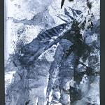 Feather Study-3
© Kim Laurel • Gelatin monoprint and mixed media