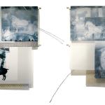 Imperial Pony Study - Installation
© Kim Laurel • Monoprint on Dura-Lar film
